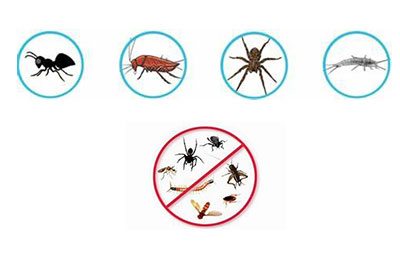 Pest/Insect control
